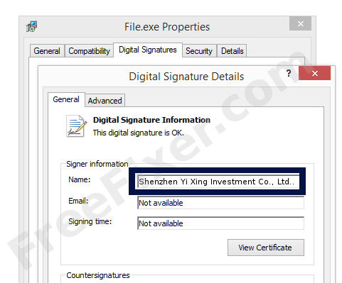 Screenshot of the Shenzhen Yi Xing Investment Co., Ltd. certificate